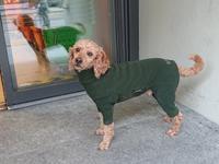 夫婦同姓か 別姓か ヘルヴェティア備忘録 ｓｕｉｓｓｅ遊牧記