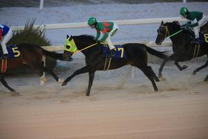 かっこいい競馬写真が撮りたい 園田競馬写真館 ここがゴール かっこいい競馬写真が撮りたい 園田競馬写真館 ここがゴール