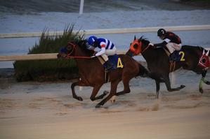 かっこいい競馬写真が撮りたい 園田競馬写真館 ここがゴール かっこいい競馬写真が撮りたい 園田競馬写真館 ここがゴール