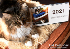 うち猫カレンダー2021 - Kyoko's Backyard　～アメリカで田舎暮らし～