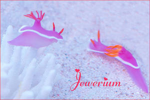 新江ノ島水族館　Jewerium【ジュエリウム】 - エーデルワイスブログ