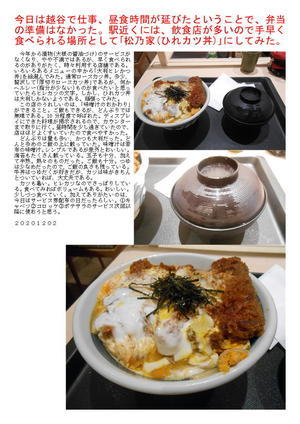 今日は越谷で仕事、昼食時間が延びたということで、弁当の準備はなかった。駅近くには、飲食店が多いので手早く食べられる場所として｢松乃家(ひれカツ丼)｣にしてみた。