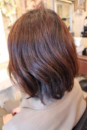 髪と新陳代謝。 - ＨＡＩＲ　ＤＲＥＳＳ　 Ｆａ－ｇｏ　　　　武蔵浦和　美容室　ブログ
