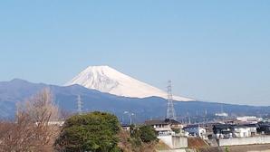 今日の富士山＆鵜＆お花たち - 白い羽☆彡静岡県東部情報発信・・・PiPiPi♪