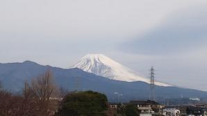 富士山、雪が減ってきています・・ - 白い羽☆彡静岡県東部情報発信・・・PiPiPi♪