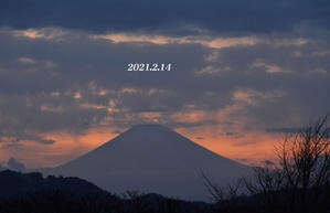 2月14日・15日　『自宅から90km先の富士2021』 - 写愛館