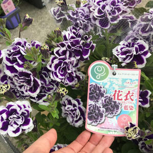リーフ リーフ リーフ Flowers 請西東のお花屋さん