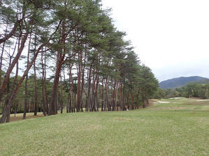 オーガスタ12番ホール Feel Nature Under The Sky オーガスタ12番ホール Feel Nature Under The Sky