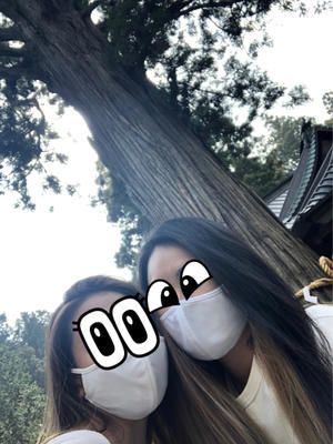 インスリン打ち方 アネモネと一緒 インスリン打ち方 アネモネと一緒