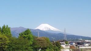 富士山＆国産小麦など - 白い羽☆彡静岡県東部情報発信・・・PiPiPi♪