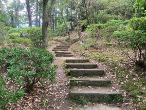 剪定作業 茂原牡丹園
