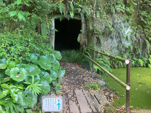 剪定作業 茂原牡丹園