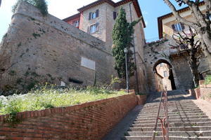 壁の花きれいたくましいペルージャの街 - イタリア写真草子