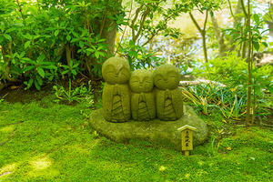 鎌倉・長谷寺の新緑 - エーデルワイスブログ