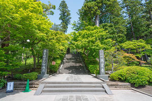 新緑の円覚寺 - エーデルワイスブログ