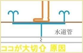 Bofwy マリオネット の暗号を解く 119 Arcadia Rose Bofwy マリオネット の暗号を解く 119 Arcadia Rose