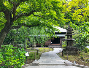 東慶寺の新緑 - エーデルワイスブログ