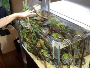 液肥と添加剤など クログ水草水槽 液肥と添加剤など クログ水草水槽
