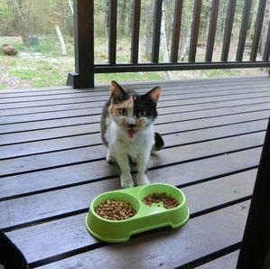 Eternal Ring 北軽1130 Eternal Ring 北軽1130