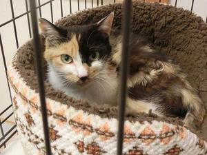 Eternal Ring 北軽1130 Eternal Ring 北軽1130