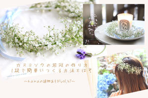 永久保存版 押し花の作り方 アイロン編 A Piece Of Dream 植物とdiyと