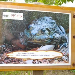 カエル天気予報 ニット雑貨を楽しむ