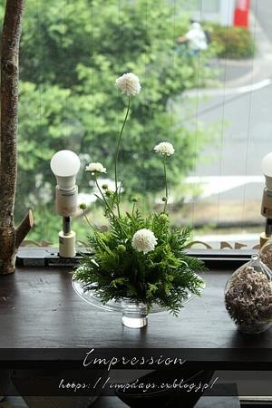 定期装花から ヒペリカム さくらロマンス Impression Days 定期装花から ヒペリカム さくらロマンス Impression Days