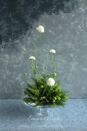 定期装花から ヒペリカム さくらロマンス Impression Days 定期装花から ヒペリカム さくらロマンス Impression Days