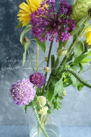 定期装花から ヒペリカム さくらロマンス Impression Days 定期装花から ヒペリカム さくらロマンス Impression Days