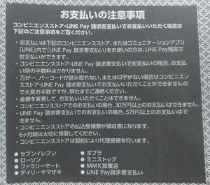 ギラティナ 無色日記