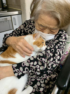 おかき 63日目 事故の事 ぶつぶつ独り言2 うちの猫ら21 おかき 63日目 事故の事 ぶつぶつ独り言2 うちの猫ら21