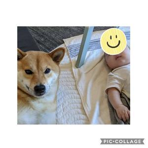 ひさしぶりに映画 キングスマン がおもしろかった Keri先生のシネマ英語塾 ひさしぶりに映画 キングスマン がおもしろかった Keri先生のシネマ英語塾