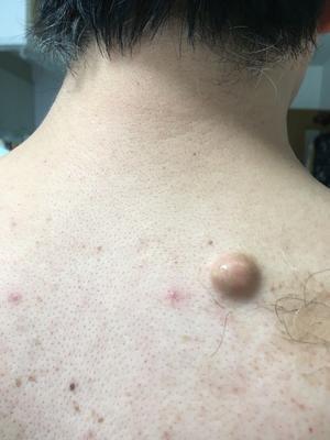 太陽が見ている かもしれないから 8巻 最終巻 ネタバレあり ユリコラム 太陽が見ている かもしれないから 8巻 最終巻 ネタバレあり ユリコラム
