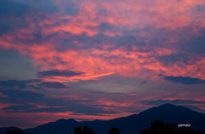 春はあけぼの 夏は七夕？ - ぎゃらりー竹斎堂