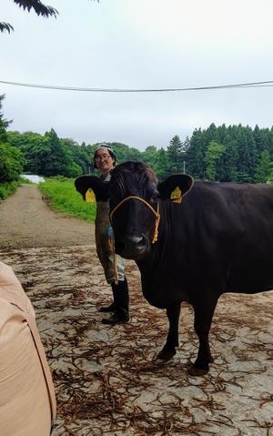 フリーマーチンなの 小比類巻家畜診療サービス スタッフの牧場日誌 フリーマーチンなの 小比類巻家畜診療サービス スタッフの牧場日誌