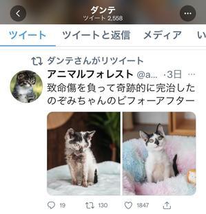 レクチンフリーoffの一ヶ月でした 毎日がエドガー ケイシー日和