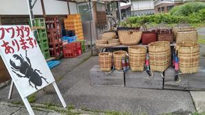 日本一の雷魚のサイズって 店主のマニアック日記 日本一の雷魚のサイズって 店主のマニアック日記
