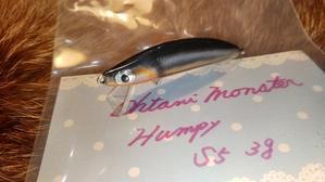 日本一の雷魚のサイズって 店主のマニアック日記 日本一の雷魚のサイズって 店主のマニアック日記