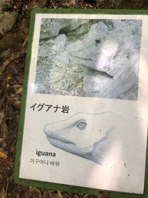 エソと干物と炭火焼き トキシンのイラストレーター的 沖縄 生活 エソと干物と炭火焼き トキシンのイラストレーター的 沖縄 生活