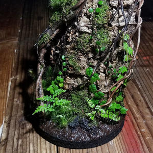 Square Cage カスタムメイドのご注文 パルダリウムケージ 特注仕様 Zero Plants Blog Square Cage カスタムメイドのご注文 パルダリウムケージ 特注仕様 Zero Plants Blog