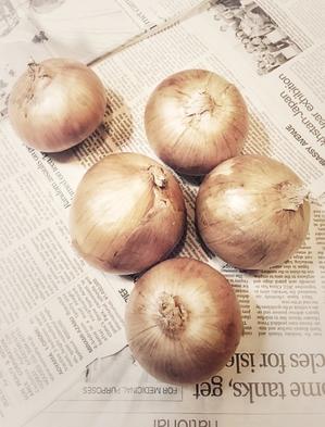 Onions - IL EST TROP TARD 時は過ぎゆく ... 2
