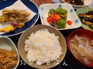 新米と沢山野菜のおひるごはん - 食品ロス削減料理研究家ブログ行長万里 　日本全国　美味しい話