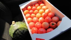 トマト1箱、買いました！ - 白い羽☆彡静岡県東部情報発信・・・PiPiPi♪