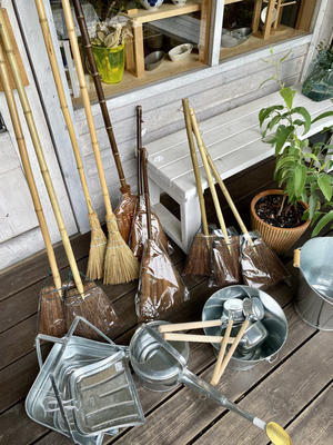 庭に植えた３本のミモザの木 フラスコに挿して Crosse 便り