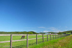 日高道～馬のいる風景 - 