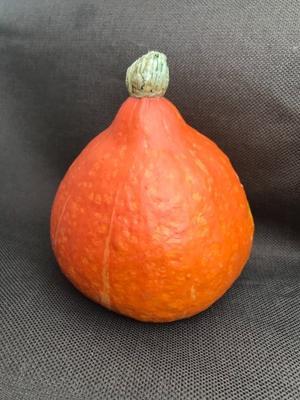 永沢くんに似たかぼちゃ　美味しい - イギリス生活で思うこと
