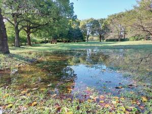 ◆「水の風景」舎人公園 - ねこウサギのきもち Vol.0