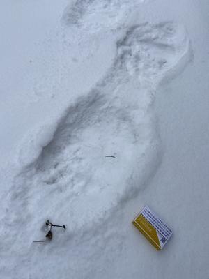 blog開設5周年 - 遥か彼方のちょっと前