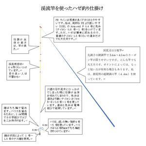 鮎毛ばり釣り仕掛け考その1 鮎毛鉤釣りの旅 鮎毛ばり釣り仕掛け考その1 鮎毛鉤釣りの旅