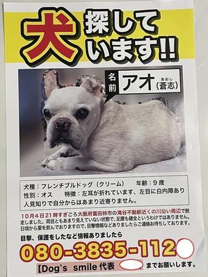 ソイ君の耳が ずーっと大好き